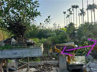 Bán lô đất 77m2 chính chủ tại câu trung quang hưng an lão (an quang) hp