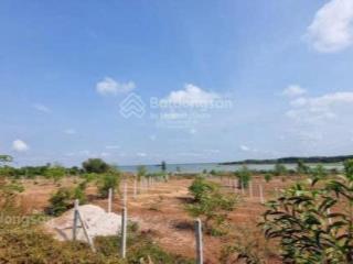 Cần bán gấp hơn 1 sào đất view hồ dầu tiếng