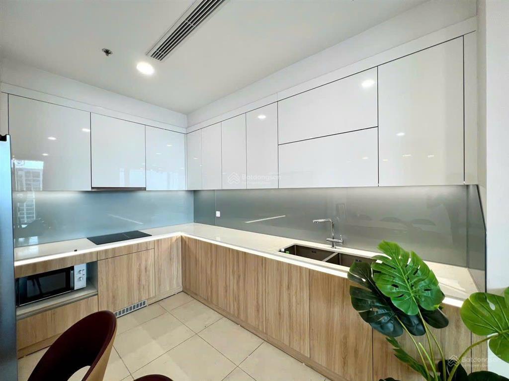 Cho thuê căn 2pn2wc chung cư the zei diện tích 89m2 full đồ giá từ 15tr