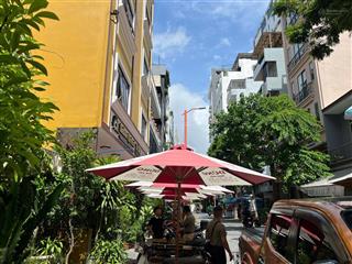 Hàng hiếmkhu phố tây an thượng, đà nẵng. chính chủ cần bán cặp đất  đường an thượng 3