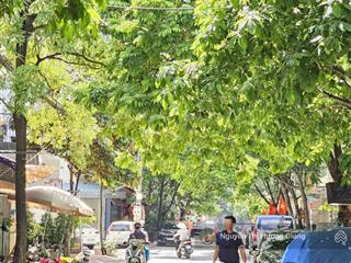 Bán gấp lk mp mỗ lao, hà đông, ô tô tránh, kinh doanh, giảm chào giá rẻ