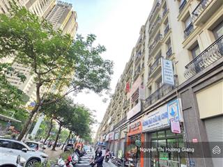 Cần bán nhà mặt phố terra an hưng  tố hữu  hà đông  8 tầng thang máy, 98m2, mt6,5m