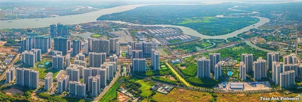 Rổ hàng rainbow vinhoems grand park t7/2025 stu 1,54 tỷ 1pn + 2pn 2pn + 3pn 3.6 tỷ