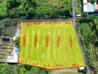 Đất vườn mặt rạch đường ô tô thoáng mát diện tích từ 1000m2 đến 1300m2