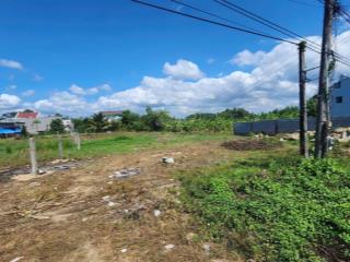 21x49(1000m2) lê văn tám tân an lagi giá cực rẻ chỉ 4,2tr/m2