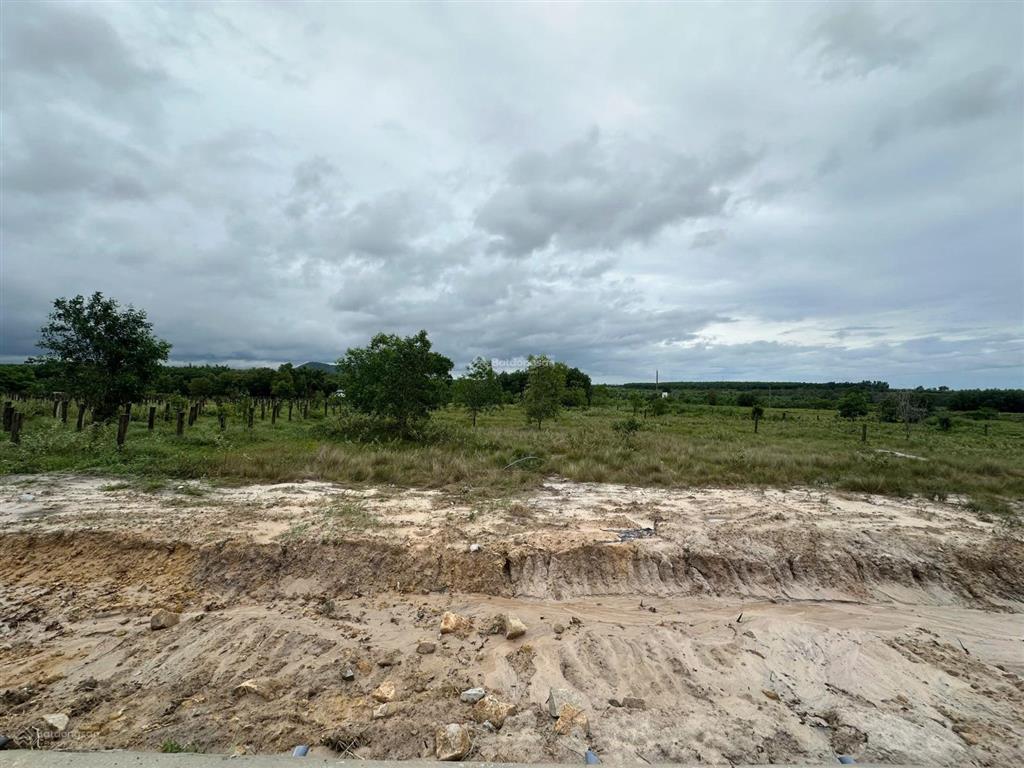 28x81m (2301m2) lê đức thọ, tân bình, lagi quy hoạch đất ở, mặt tiền đường nhựa