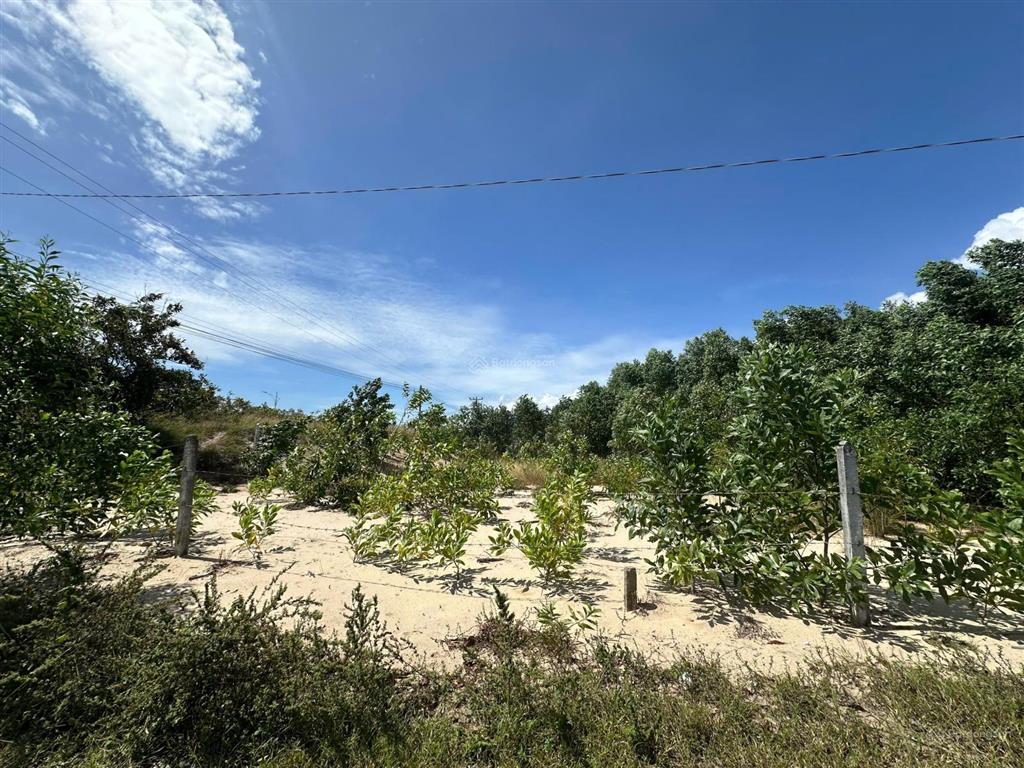 Siêu phẩm 10023m2 view biển lagi giá chỉ ~2,6 triệu/m², duy nhất 1 lô