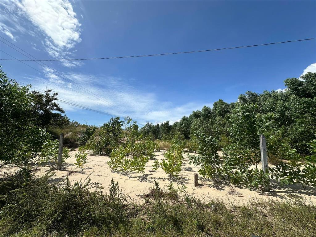 Siêu phẩm 10023m2 view biển lagi giá chỉ ~2,6 triệu/m², duy nhất 1 lô