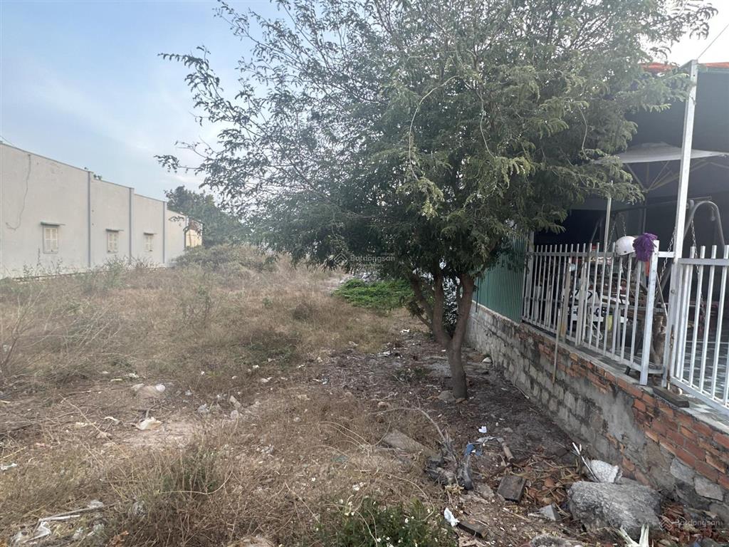 6x34(201m2) full thổ cư lý thái tổ tân tiến lagi gần biển giá siêu hấp dẫn