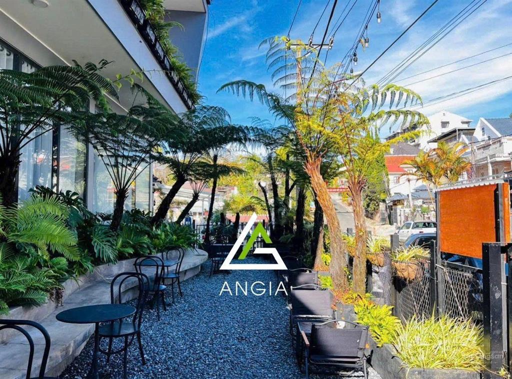 Bán biệt thự 4 tầng, 10pn, 10wc, 264m2 tại đường lý nam đế, phường 8, đà lạt, 35 tỷ vnd