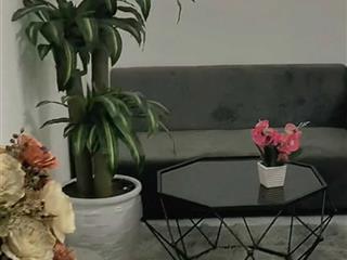 Cho thuê phòng giá rẻ chỉ từ 3tr  3.5tr phan trọng tuệ thanh trì phòng rộng 35m2, có ban công pccc