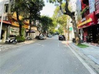 Bán nhà quận 1, giá rẻ 200m2, 12m x 16m giá chỉ 38 tỷ đường trước nhà 10m ôtô tránh sổ hồng vuông