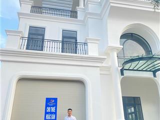 Biệt thự đơn lập mekong lacelia city giá cực nét