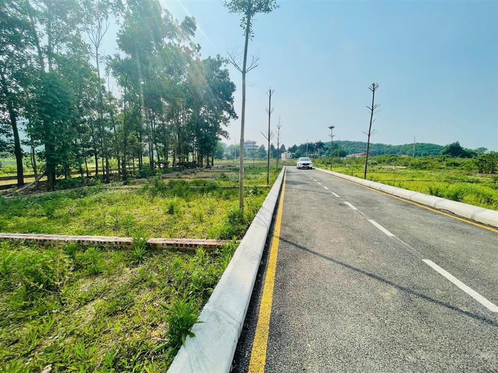 Bán đất ngay trục chính bãi dài, sát đhqg, metro số 5, điểm dừng xe bus, đltl dt 76m2 giá 3, x tỷ