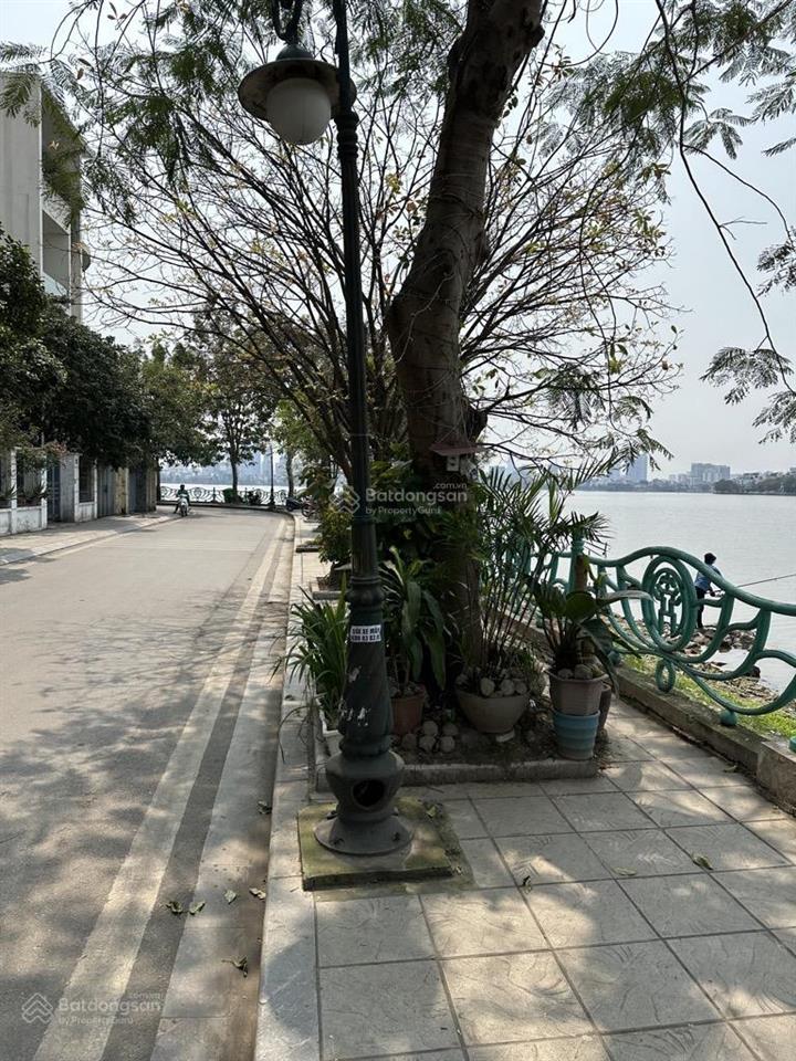 Bán mảnh đất vàng mặt phố vip quảng khánh tây hồ còn sót lại 344m2, mt 12m lô góc siêu hiếm