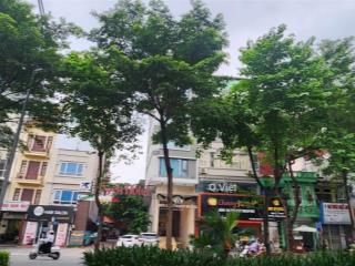 Nhà mặt phố nguyễn khánh toàn 115m 5 tầng vị trí đẹp nhất phố bán gấp giá tốt