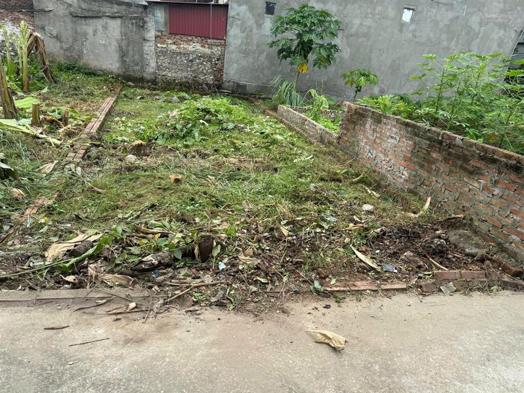 Bán đất tại tuy lai, mỹ đức, hà nội, 1,03 tỷ, 54,3m2 cực chất