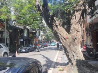 Bán nhà mặt phố triệu việt vương  30m  7 tầng thang máy