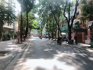 Bán đất bùi huy bích, 70m2 mặt tiền 5.9m, mặt ngõ phân lô kinh doanh, phân lô bàn cờ, nhỉnh 20 tỷ