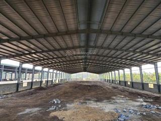 Bán xưởng sx viên nén 3,2ha skc 15.000m2 đóng tiền 1 lần 30năm  gồm 3xưởng 4.900m2 (35x140m)