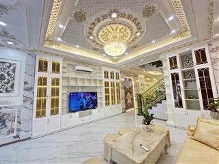 Biệt thự tân cổ điển 5 x 20m  gara  sân thượng  mặt tiền đường nhựa 8m