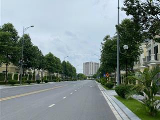 Chính chủ bán biệt thự mộc cầm dự án an lạc green symphony