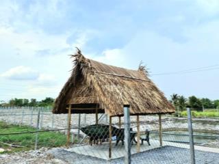 Đất làm nhà vườn đường xe hơi. diện tích 1000m2, xã mỹ lộc cần giuộc, gần trục ql 50b, giá tốt, shr