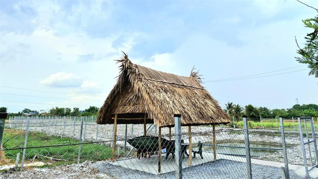 Đất làm nhà vườn đường xe hơi. diện tích 1000m2, xã mỹ lộc cần giuộc, gần trục ql 50b, giá tốt, shr