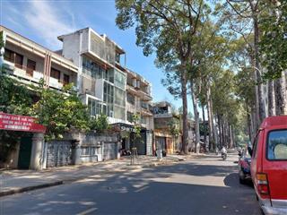 Siêu vị trí! bán gấp 393m2 mt sương nguyệt ánh, p. bến thành, q1 (10x40m) gpxd hầm 12t. giá 220tỷ