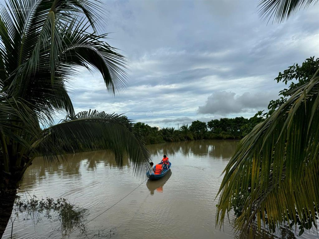 Bán trang trại 16ha tại xã hàm thạnh, tỉnh bình thuận.