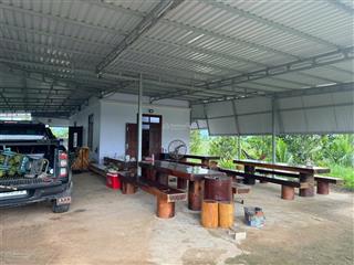 Bán trang trại 16ha tại xã hàm thạnh, tỉnh bình thuận.