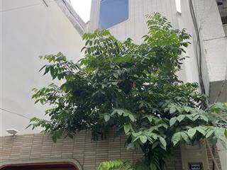 Hàng hiếm nhà hẻm xe hơi nội bộ nguyễn bỉnh khiêm q155 m2 4 tầng mớichỉ 14 tỷ tl  0789 162 ***