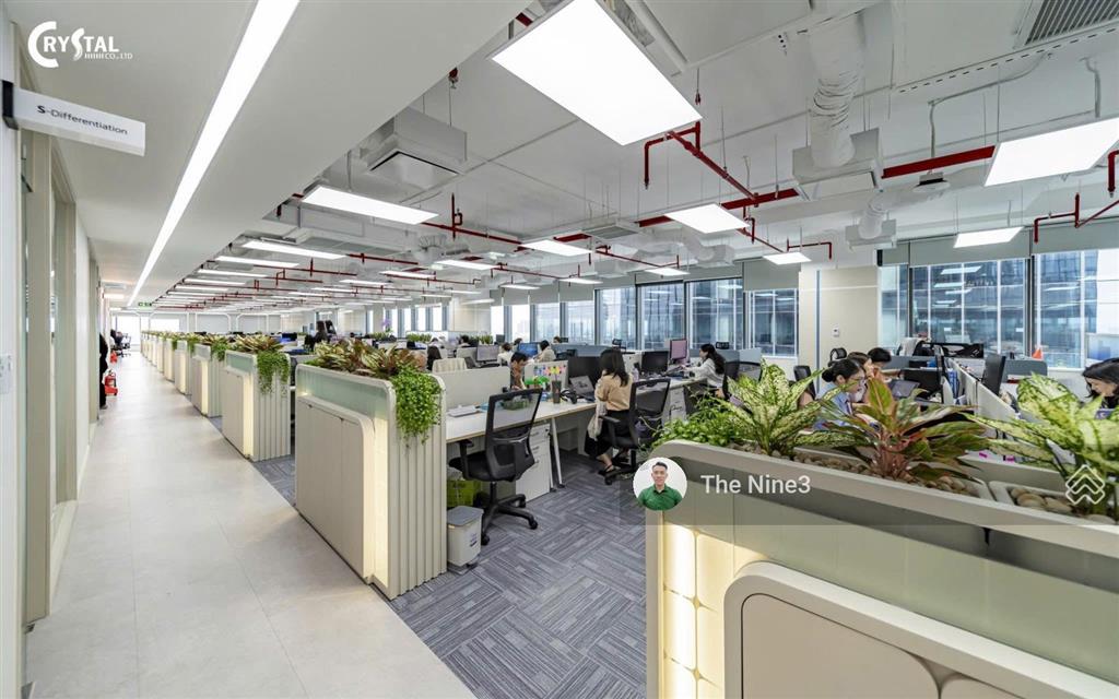 Góc 2mt nam kỳ khởi nghĩa, quận 3  14x25m  hầm 8 tầng  hđt 500 triệu/th  giá 150 tỷ