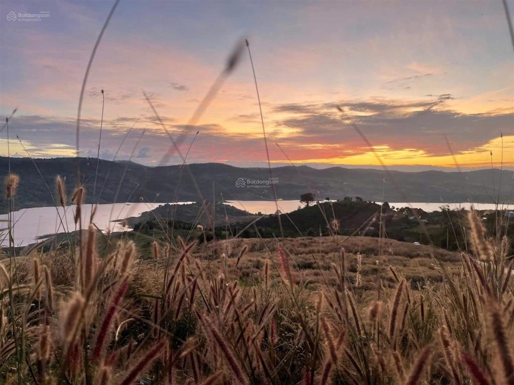 Đất view sông đồng nai 2 liên hà, lâm hà, đà lạt 1039m² có 100m² thổ cư giá chỉ 950tr