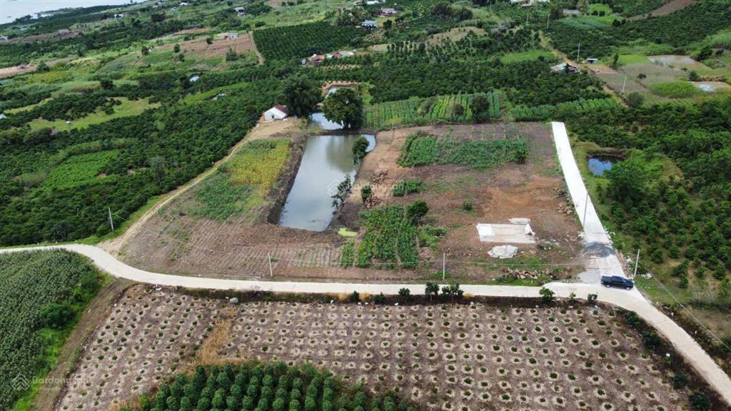 Đất view sông đồng nai 2 liên hà, lâm hà, đà lạt 1039m² có 100m² thổ cư giá chỉ 950tr