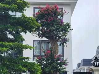 Bán biệt thự 3 tầng 221.1m2 gần kđt cổ dương cầu nhật tân 13.7 tỷ (thương lượng)
