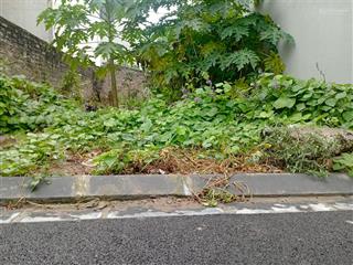 Chính chủ cần tiền gửi bán gấp mảnh đất đẹp thôn đông trù  đông hội  đông anh  tp hà nội