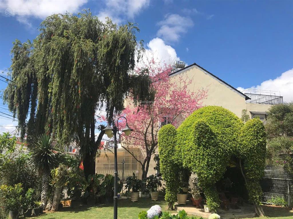 Đất mặt tiền khu biệt thự cổ ngô văn sở  thế đất tựa đồi thông 5ha  view hồ thơ mộng hiếm có