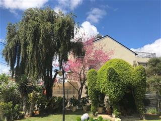 Đất mặt tiền khu biệt thự cổ ngô văn sở  thế đất tựa đồi thông 5ha  view hồ thơ mộng hiếm có