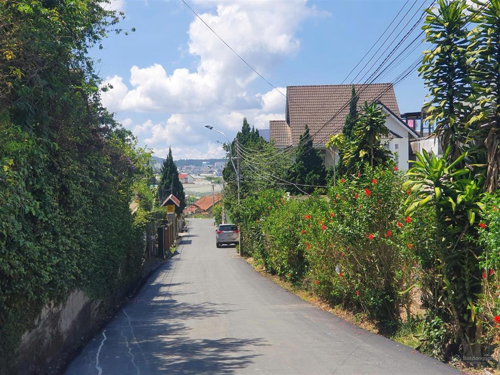 Cụm biệt thự sang trọng , đồng bộ  bán đất 523m2 hxh mai anh đào, đà lạt