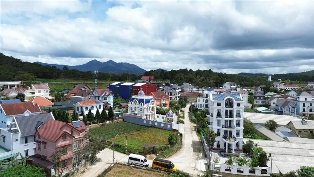 Cụm biệt thự sang trọng , đồng bộ  bán đất 523m2 hxh mai anh đào, đà lạt
