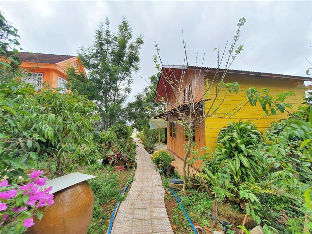 Cụm biệt thự sang trọng , đồng bộ  bán đất 523m2 hxh mai anh đào, đà lạt