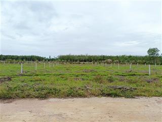 Thu hồi vốn, sang nhanh lô đất 1312m2 châu thành, tây ninh ngang 24m, giá tốt nhất thị trường 100%