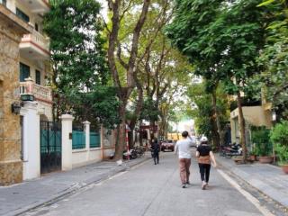 Bán nhà Trần Nguyên Đán, KĐT Định Công, 80m2, giá thấp nhất