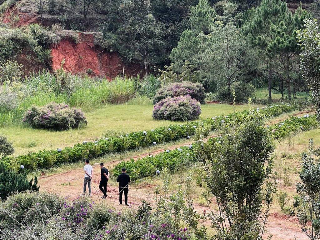 Bán đất tặng căn biệt thự 300m2 tổng diện tích đất 20.000m2 (2 hecta) phường xuân hương  đà lạt