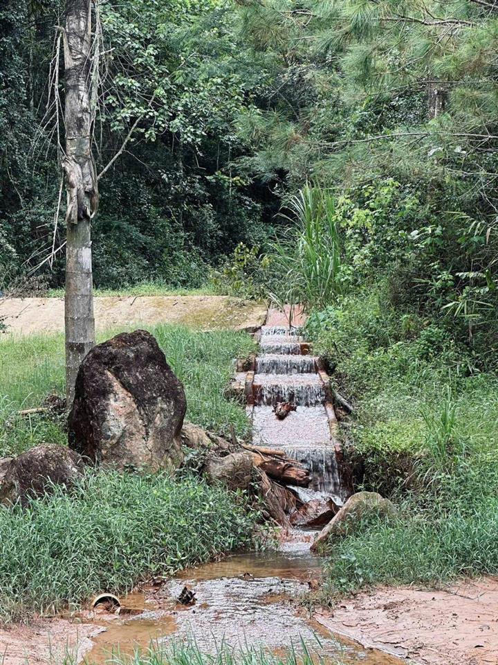 Bán đất tặng căn biệt thự 300m2 tổng diện tích đất 20.000m2 (2 hecta) phường xuân hương  đà lạt