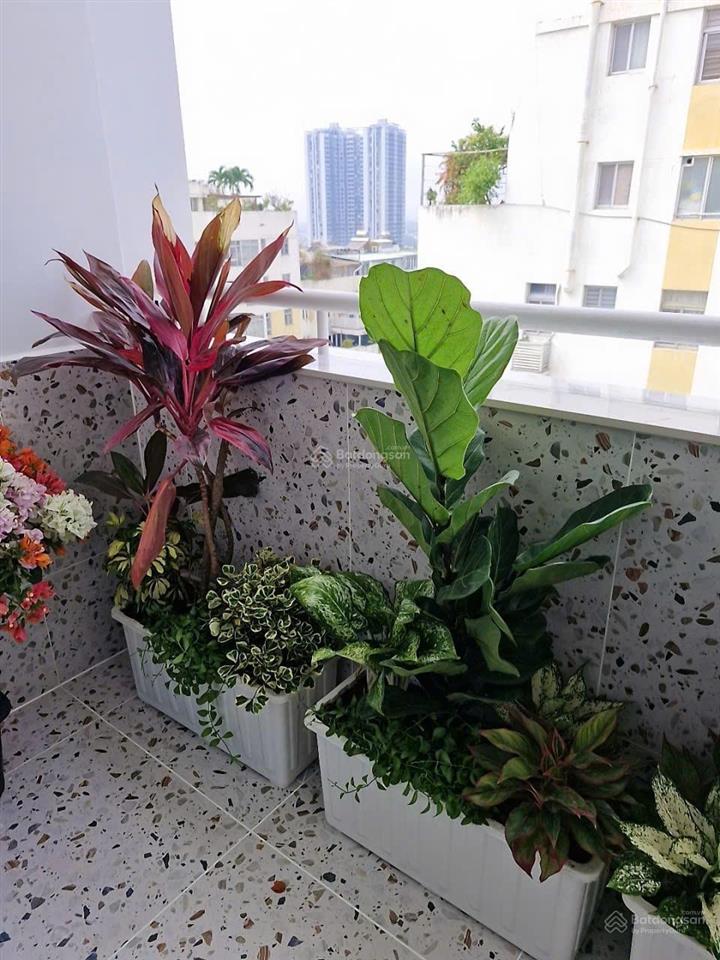 Bán căn hộ penthouse cc sky garden ii, 17,5 tỷ, 256m2, q7, hcm, giá ưu đãi uy tín 0903 113 ***