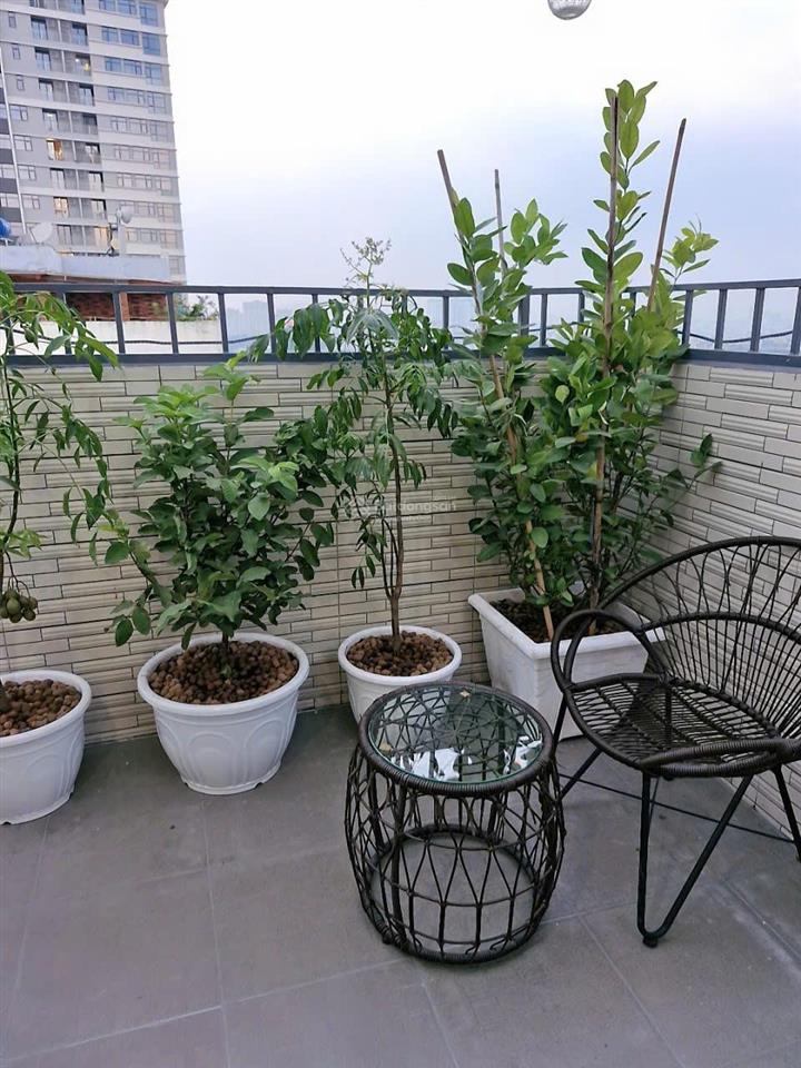 Bán căn hộ penthouse cc sky garden ii, 17,5 tỷ, 256m2, q7, hcm, giá ưu đãi uy tín 0903 113 ***