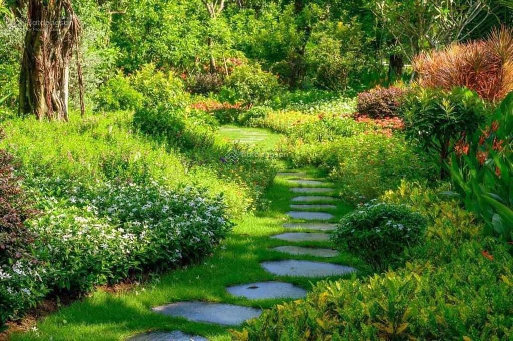 Bán biệt thự waterfront ecovillage trực diện sông, cạnh bến du thuyền, dt 18x22m, giá 59 tỷ