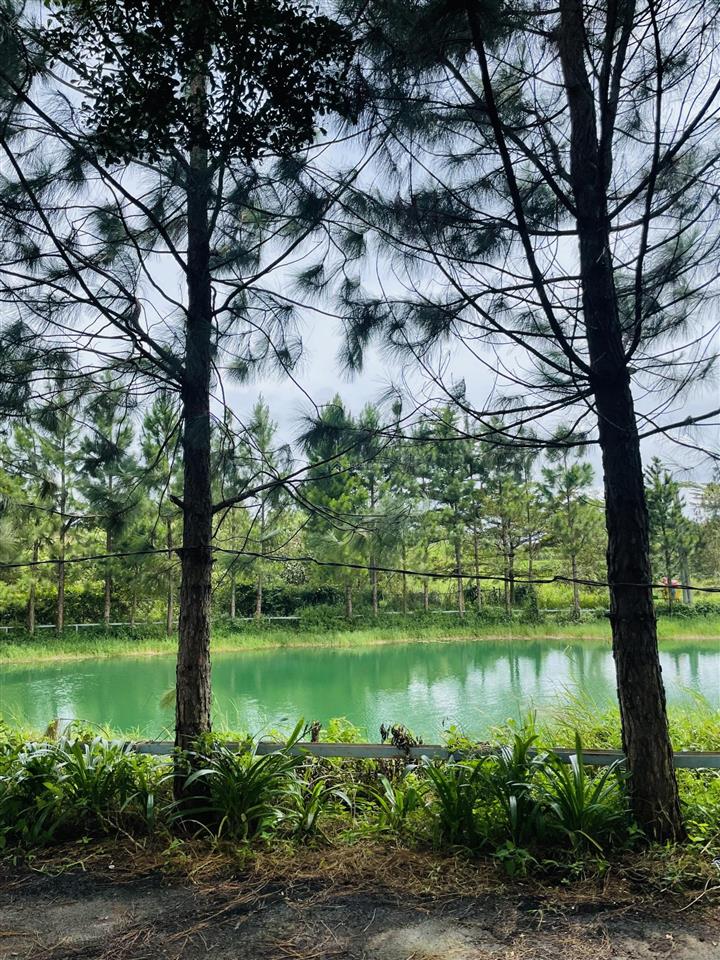 Park hill view hồ chính chủ thổ cư xd tự do 850tr